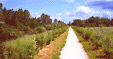 Radweg
